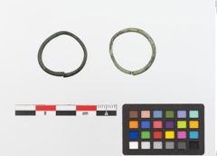 Foto von Bronzering (NHMW-PRAE-023768)